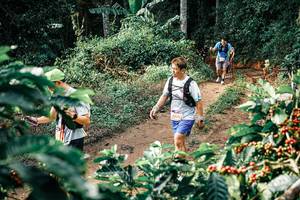 BIB: 
                            <button type="button" onclick="openModal(25852171)" class="btn btn-primary btn-sm float-right btn-popup" data-toggle="modal" data-target=".modal-high-quality">
                        <i class="fas fa-shopping-cart"></i> Add to Cart
                    </button>
                                            <button type="button" onclick="isThisMe(25852171, true)" class="btn btn-success btn-sm float-right btn-popup btn-isme hidden" data-toggle="tooltip" data-placement="bottom" title="นี่คือรูปของคุณใช่ไหม คลิกที่นี่เพื่อเอาเข้าอัลบั้ม">
                        <i class="fas fa-plus"></i> Add to album
                    </button>
                    <button type="button" onclick="isThisMe(25852171, false)" class="btn btn-warning btn-sm float-right btn-popup btn-isnotme hidden">
                        <i class="fas fa-ban"></i> Remove from album
                    </button>